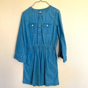 GAP Chambray Henley Dress